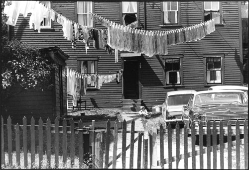 Fence_Clotheslines